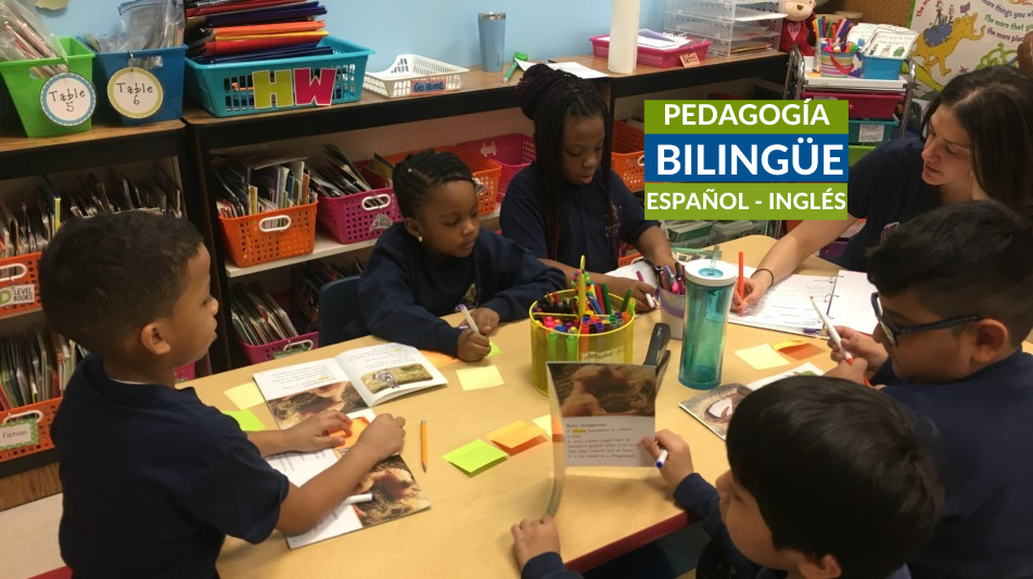 PEDAGOGÍA (10) Facultad de Educación