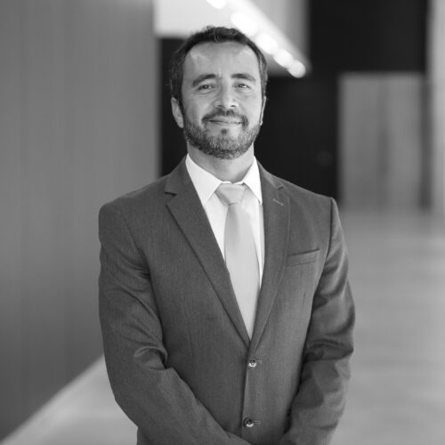 Mauricio  Bravo